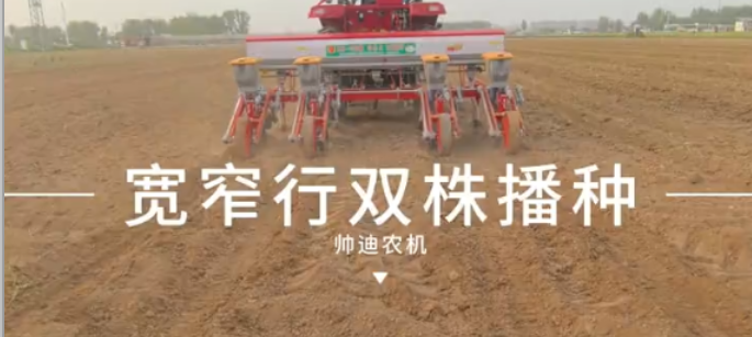 帅农王大垅双行宽窄行双株种植作业 - Cover Image