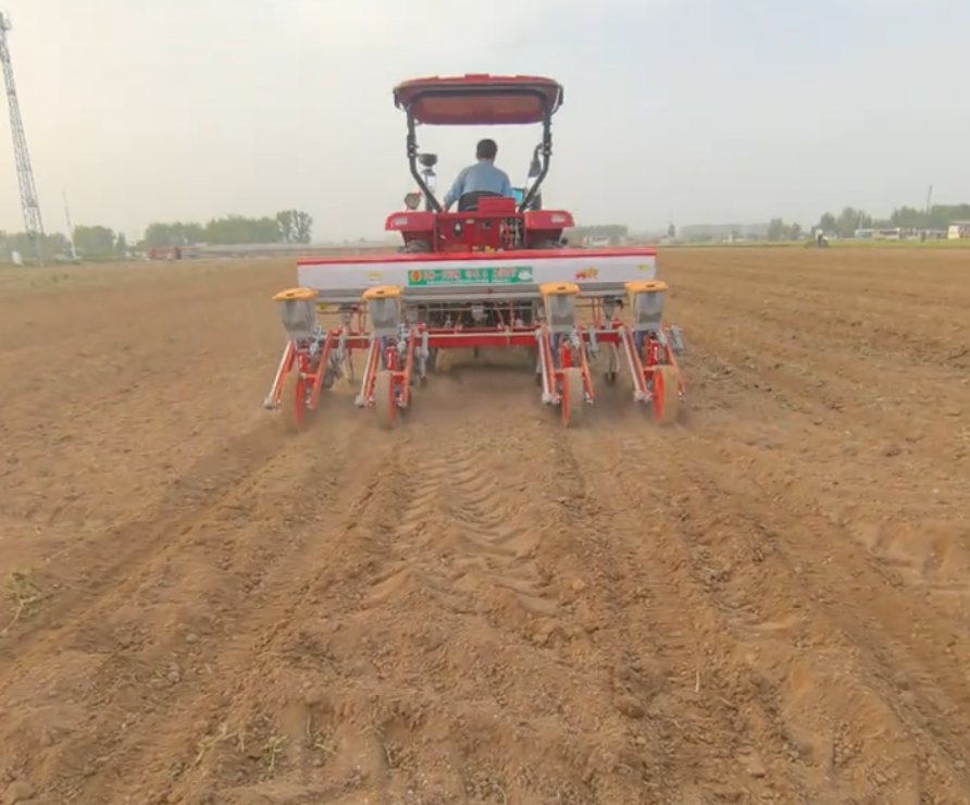 帅农王大垅双行宽窄行双株种植作业 - Cover Image