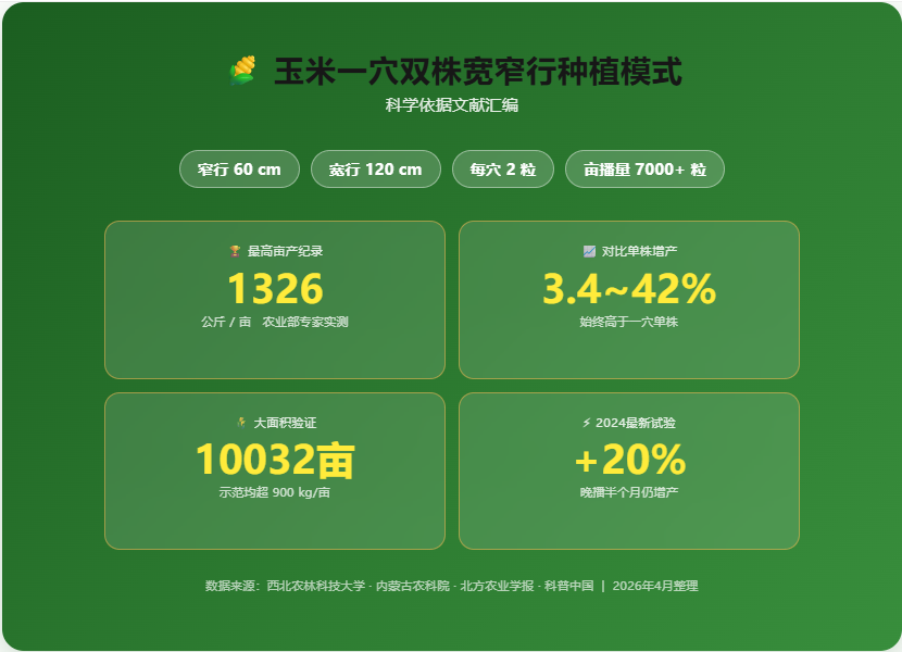 玉米一穴双株宽窄行种植模式参考文献汇编 - Cover Image